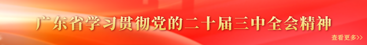 广东省学习贯彻党的二十届三中全会精神