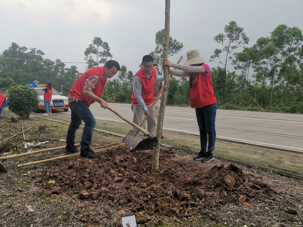 公路信息kp017-春回大地种树忙  开平局开展植树活动2.jpg