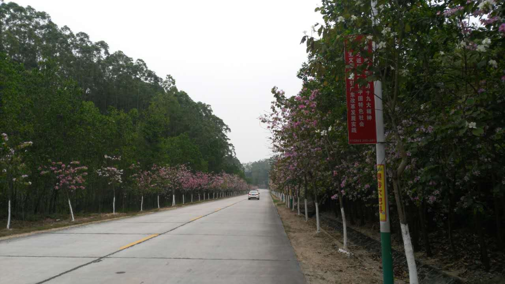 S369路面.jpg