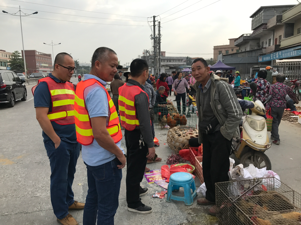 公路信息kp002-江门市开平公路局开展节前道路安全隐患大检查 (3).jpg