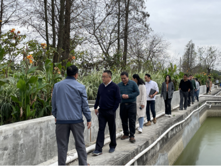 打造养殖尾水净化技术示范，建设水清鱼欢优美生态——江门市水产养殖尾水净化技术试验示范项目顺利通过验收702.png