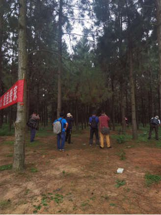 230509采风进行时 “江门&bull;发现森林之美”全国摄影大赛采风团走进鹤山台山 (4).png