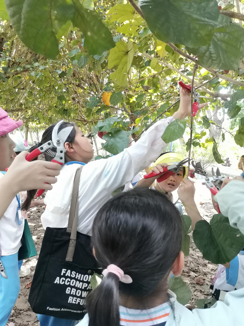 231008台山市甫草林场开学季&bull;“育”见自然系列自然教育活动第一课开讲啦 (2).jpg