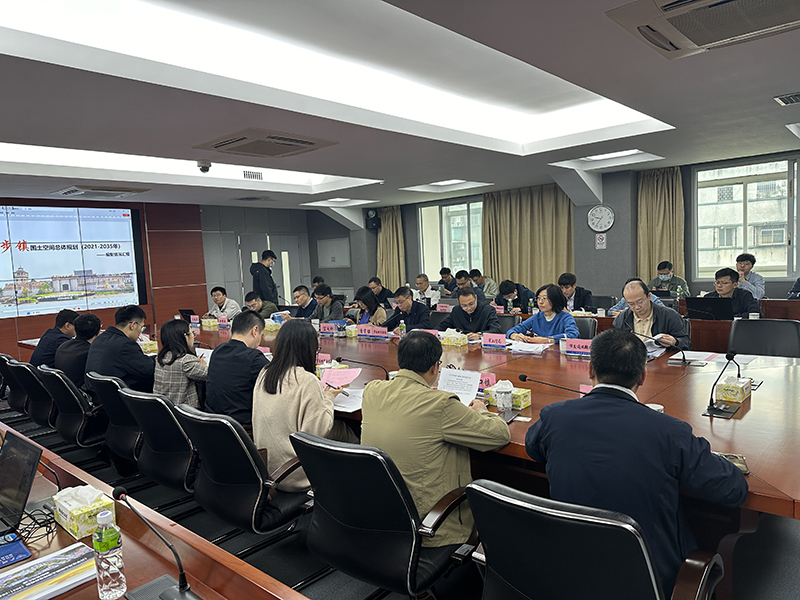 240328加快国土空间规划编制 推动中部八镇联动发展 (3).jpg