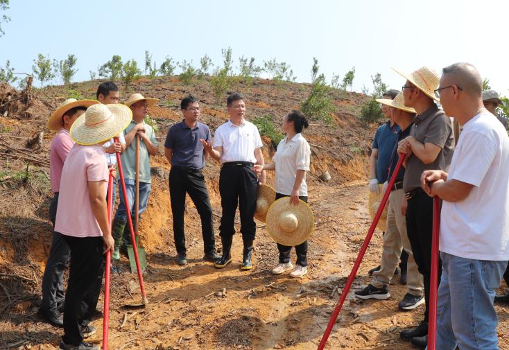 240508党建引领建设绿美生态   送训下乡助力乡村振兴 (2).jpg