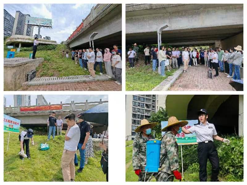 240524江门市召开兼职林业植物检疫员培训班 (3).jpg