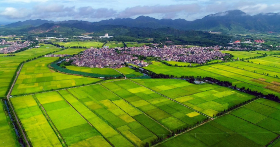 240905送训送图送册下乡，助力田长制走深走实 (1).png