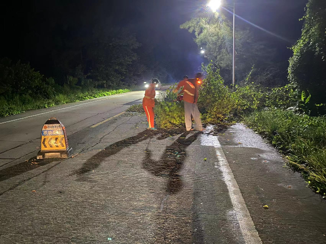 6台山地方公路服务中心大塘道班，9月5日晚上在S274连滩-端芬，安排人员清理倒伏树枝，采取正常通行.jpg