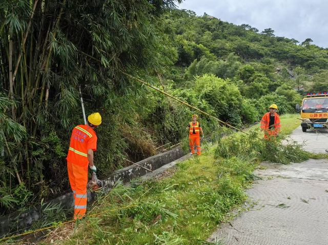 7台山公路事务中心清理倒伏的树枝.jpg